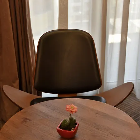 酒店 波希米亚酒店 地拉那